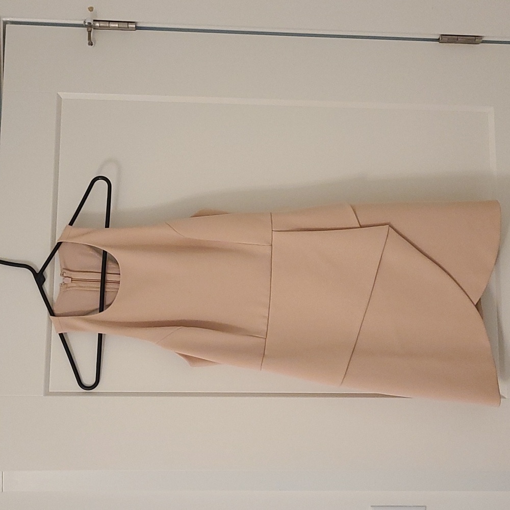 Pristine Pink BCBG dress